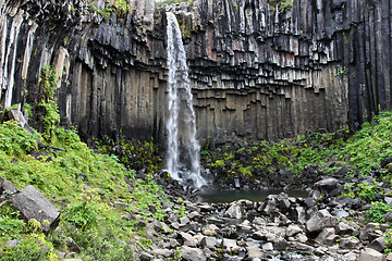 Image showing Svartifoss - Iceland