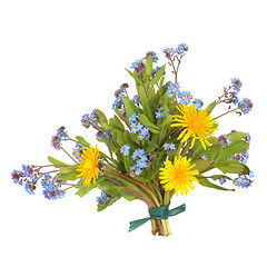 Image showing Spring Wildflowers