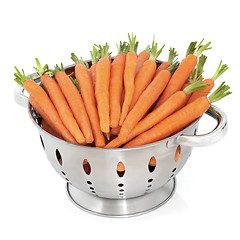 Image showing  Baby Carrot Vegetables