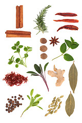 Image showing Spice and Herb Selection