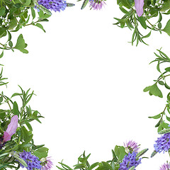 Image showing Herb Flower Border