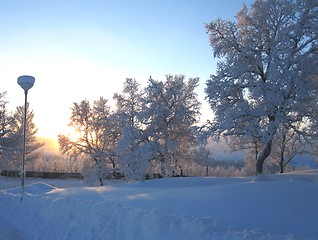 Image showing Frosty landscape