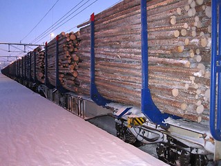 Image showing Timber transportation