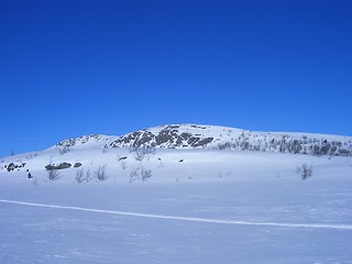 Image showing Norwegian winter