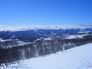 Image showing Winter landscape