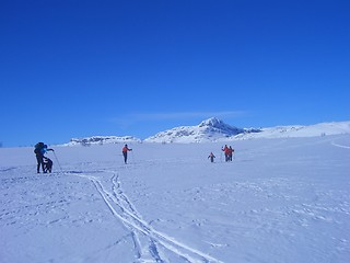 Image showing Cross-country skiing