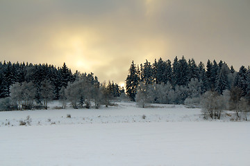 Image showing Winter landscape with sunset over frozen trees 