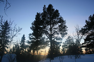 Image showing Dusk