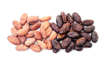 Image showing cocoa beans