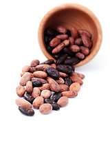 Image showing cocoa beans