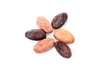 Image showing cocoa beans