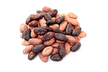 Image showing cocoa beans