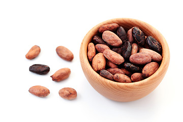 Image showing cocoa beans