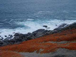 Image showing Kangaroo Island