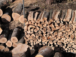 Image showing Logs