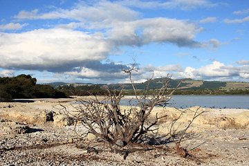 Image showing Lake in New Zealand