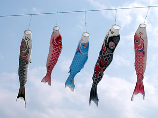 Image showing Flying carps-Koinobori