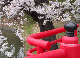 Image showing Japanese spring bridge