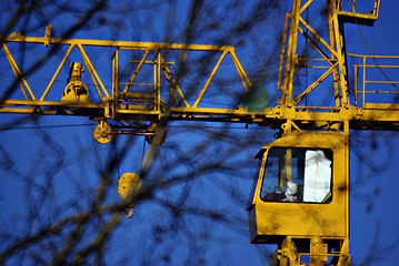 Image showing Yellow Crane