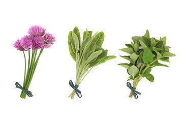 Image showing Chives, Sage and Oregano Herbs