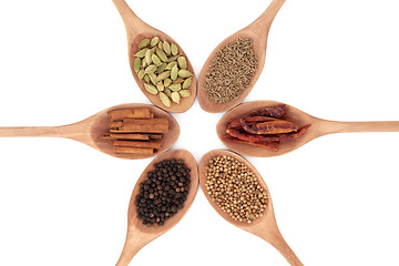 Image showing Spice Selection