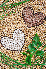 Image showing Lentils, soybeans, beans with herbs - pulse concept