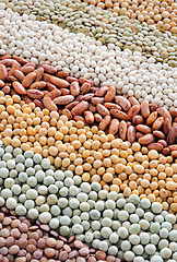 Image showing Mixture of dried lentils, peas, soybeans, beans  - background