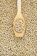 Image showing Wooden spoon and dried soybeans