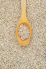 Image showing Wooden spoon and dried pearled barley