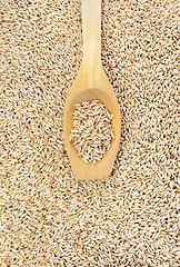 Image showing Wooden spoon and dried husked oats