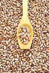 Image showing Wooden spoon and dried pinto beans