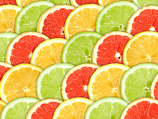 Image showing Background with citrus-fruit slices