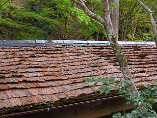 Image showing Bark roof