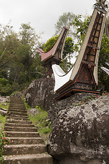 Image showing  Traditional toraja cemetery