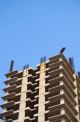 Image showing  Skyscraper under construction