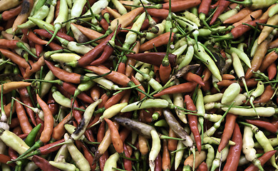 Image showing Colored Chili peppers