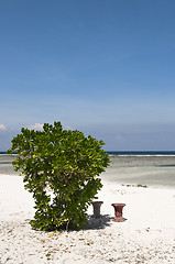 Image showing Stool on a beach