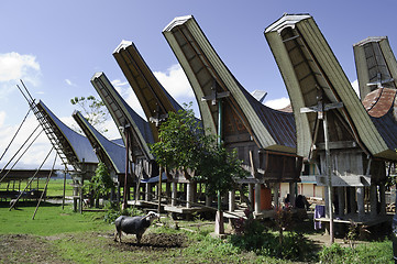Image showing Toraja rural household