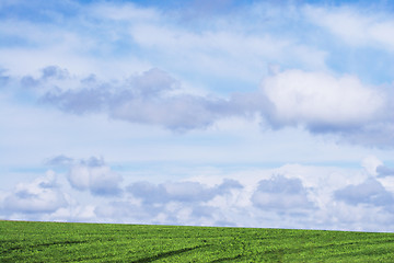 Image showing A wonderful sky and bright green grass