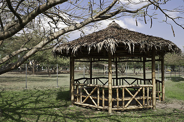 Image showing Bamboo Gazebo