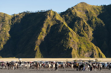 Image showing Horseback Riding