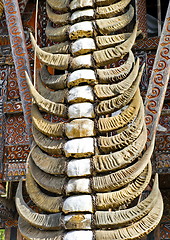 Image showing  Toraja Traditional horn house