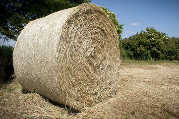 Image showing Full Hay ball