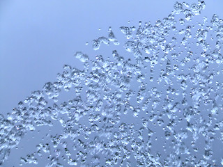 Image showing Water drops and splash