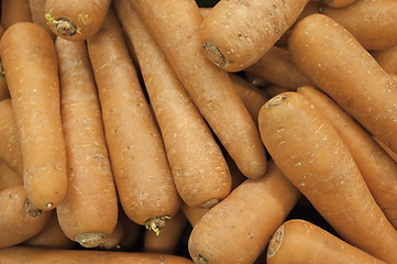 Image showing Carrots