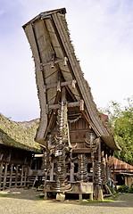 Image showing Toraja traditional village