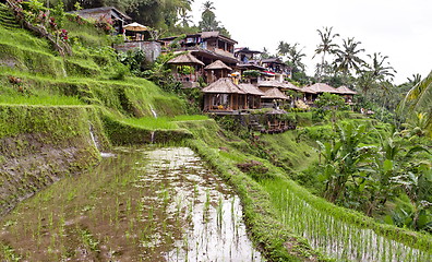 Image showing Indonesian rural village