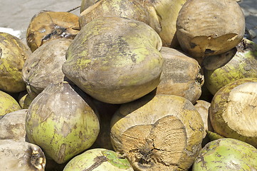 Image showing Coconuts 
