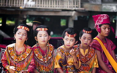 Image showing Children with tradition toraja clothes