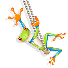 Image showing Tree frog on a swing